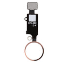 iPhone 7 / 7P / 8 / 8P / SE 2020 / SE 2022 Home Button Solution Flex Cable Replacement  (All Colors)