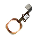 iPhone 6 / 6 Plus Home Button Flex Cable Replacement  (All Colors)